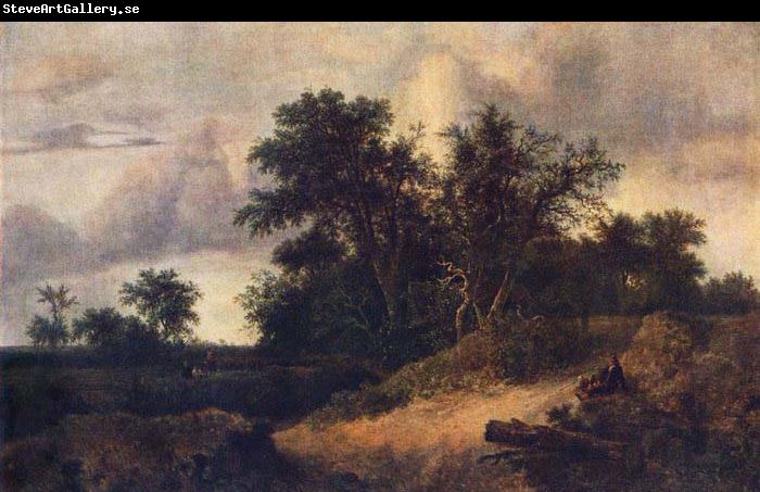 RUISDAEL, Jacob Isaackszon van Landscape with a House in the Grove about 1646